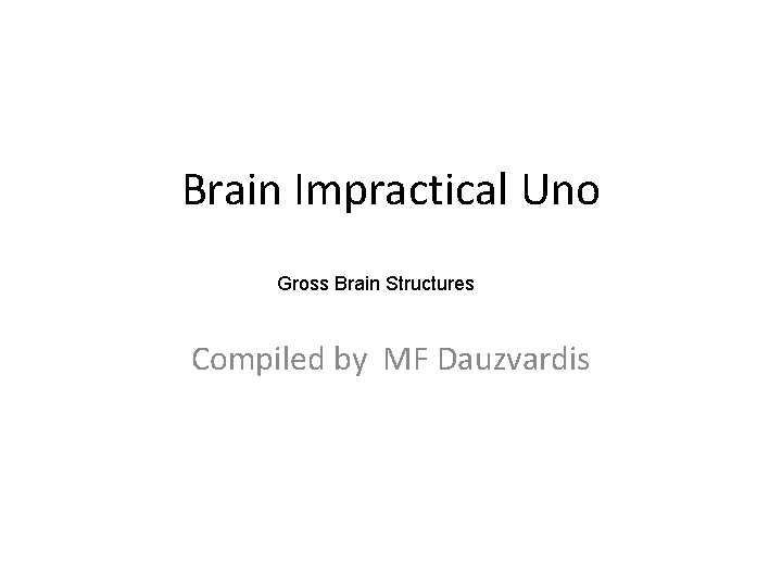 Brain Impractical Uno Gross Brain Structures Compiled by MF Dauzvardis 