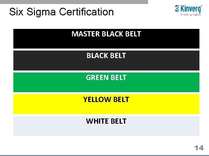 Six Sigma Certification MASTER BLACK BELT GREEN BELT YELLOW BELT WHITE BELT 14 