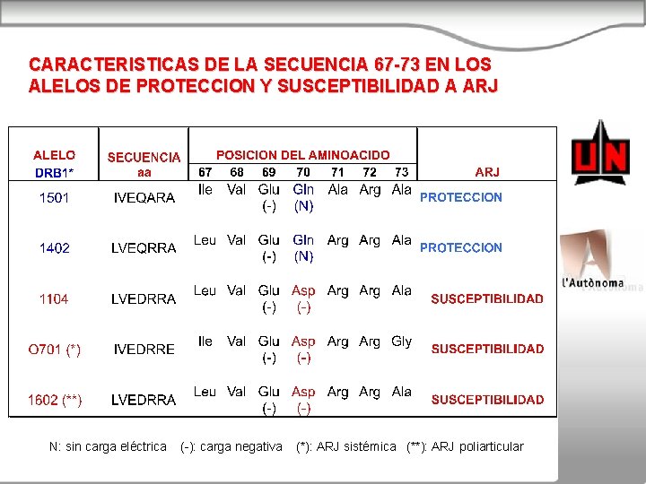 CARACTERISTICAS DE LA SECUENCIA 67 -73 EN LOS ALELOS DE PROTECCION Y SUSCEPTIBILIDAD A