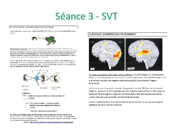 Séance 3 - SVT 