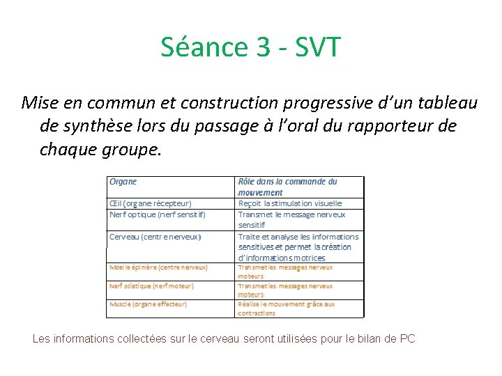 Séance 3 - SVT Mise en commun et construction progressive d’un tableau de synthèse