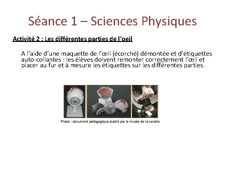 Séance 1 – Sciences Physiques Activité 2 : Les différentes parties de l’oeil A