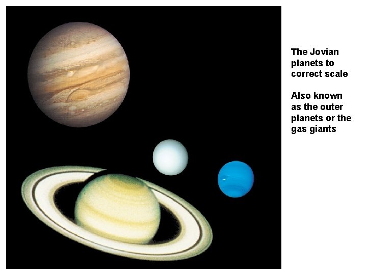 The Jovian planets to correct scale Also known as the outer planets or the