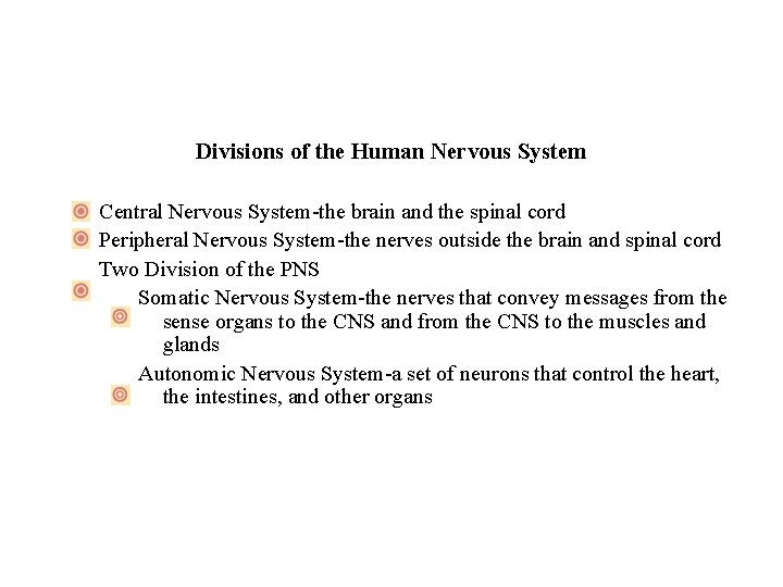 Divisions of the Human Nervous System Central Nervous System-the brain and the spinal cord