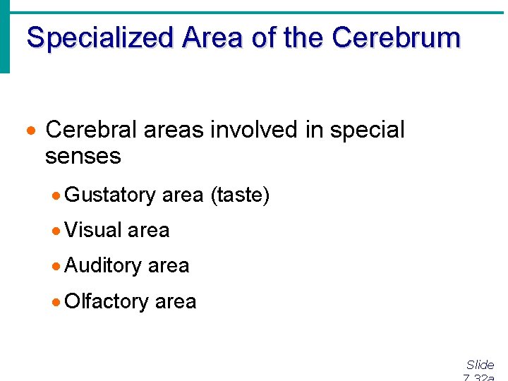 Specialized Area of the Cerebrum · Cerebral areas involved in special senses · Gustatory