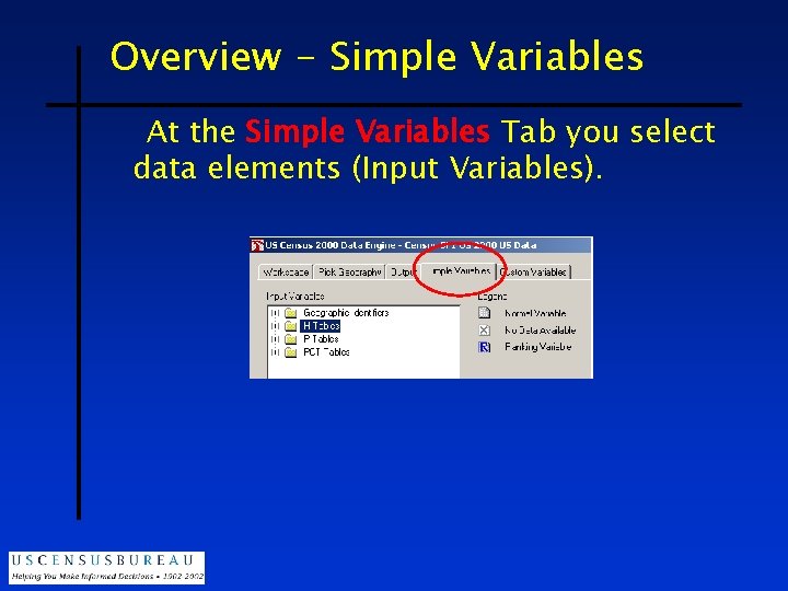 Overview - Simple Variables At the Simple Variables Tab you select data elements (Input