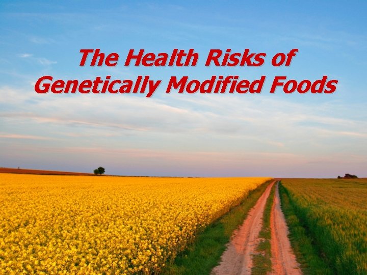 The Health Risks of Genetically Modified Foods 