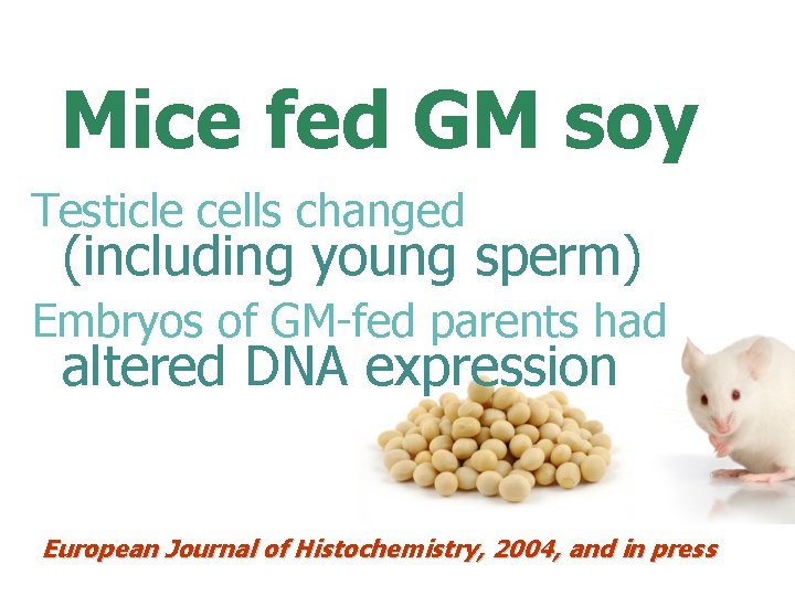 Mice fed GM soy Testicle cells changed (including young sperm) Embryos of GM-fed parents