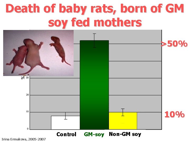 Death of baby rats, born of GM soy fed mothers >50% 10% Control Irina