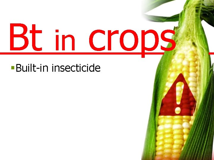 Bt in crops §Built-in insecticide 