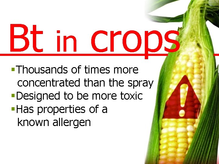 Bt in crops §Thousands of times more concentrated than the spray §Designed to be