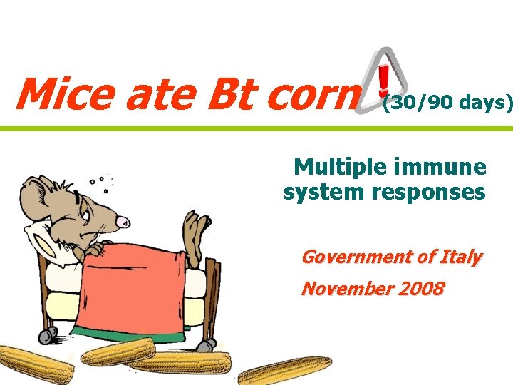 Mice ate Bt corn (30/90 days) Multiple immune system responses Government of Italy November