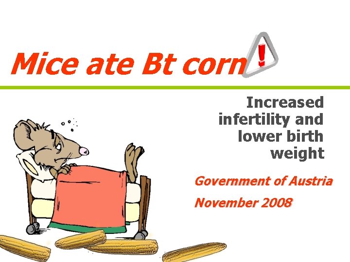 Mice ate Bt corn Increased infertility and lower birth weight Government of Austria November