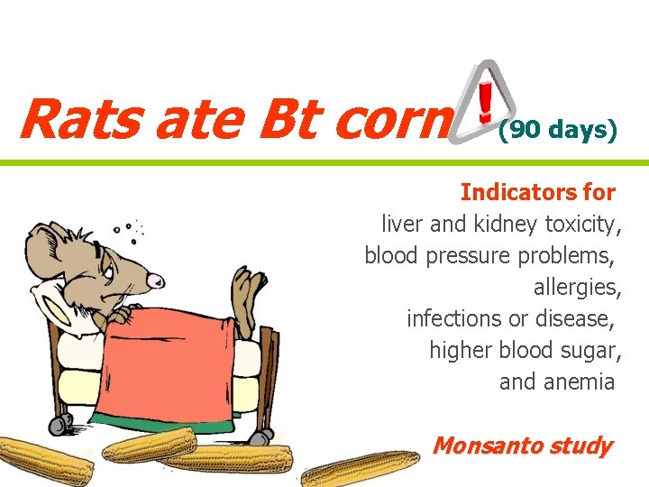 Rats ate Bt corn (90 days) Indicators for liver and kidney toxicity, blood pressure