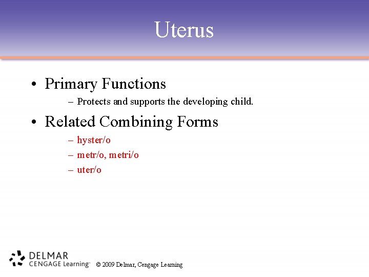 Uterus • Primary Functions – Protects and supports the developing child. • Related Combining
