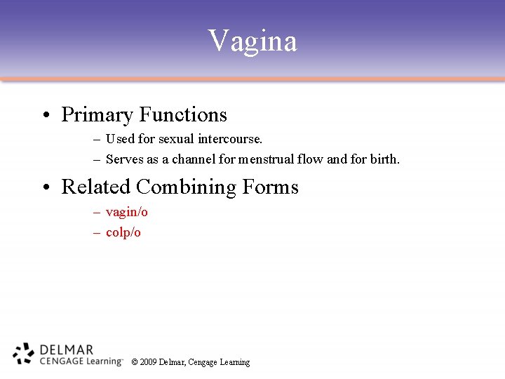 Vagina • Primary Functions – Used for sexual intercourse. – Serves as a channel