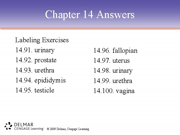 Chapter 14 Answers Labeling Exercises 14. 91. urinary 14. 92. prostate 14. 93. urethra