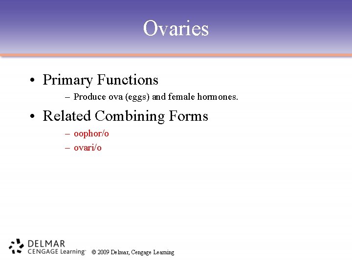 Ovaries • Primary Functions – Produce ova (eggs) and female hormones. • Related Combining