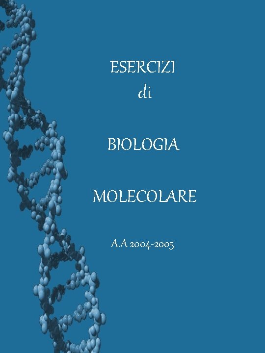 ESERCIZI di BIOLOGIA MOLECOLARE A. A 2004 -2005 