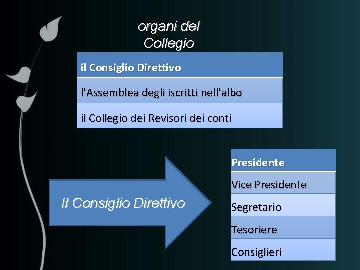 organi del Collegio il Consiglio Direttivo l’Assemblea degli iscritti nell'albo il Collegio dei Revisori