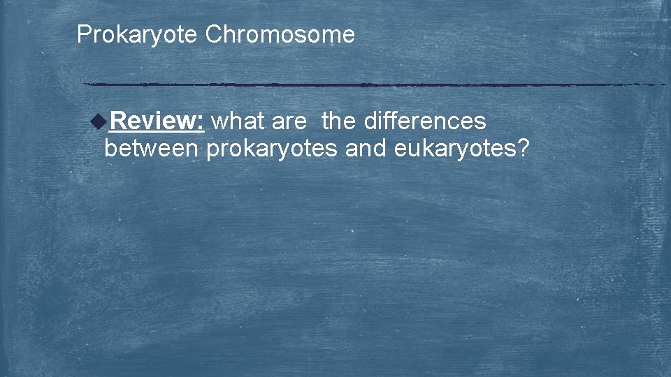 Prokaryote Chromosome u. Review: what are the differences between prokaryotes and eukaryotes? 