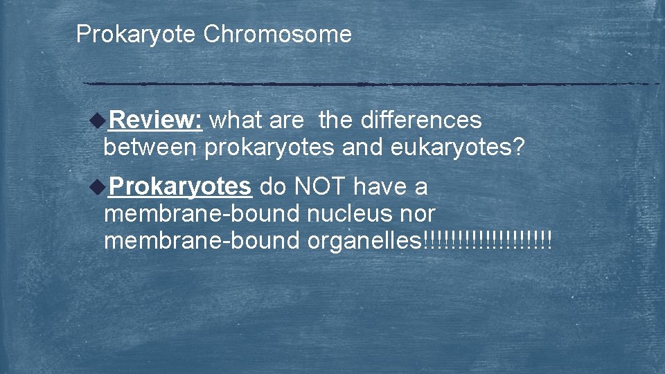 Prokaryote Chromosome u. Review: what are the differences between prokaryotes and eukaryotes? u. Prokaryotes