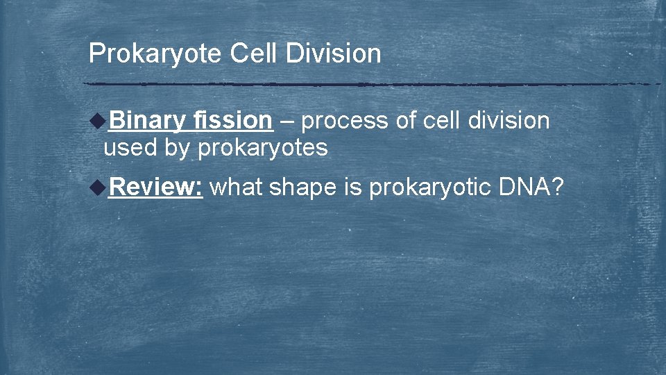 Prokaryote Cell Division u. Binary fission – process of cell division used by prokaryotes