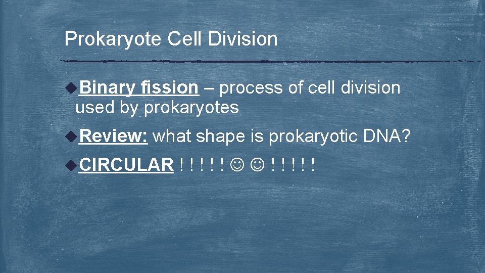 Prokaryote Cell Division u. Binary fission – process of cell division used by prokaryotes