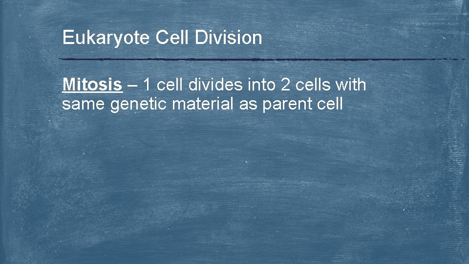 Eukaryote Cell Division Mitosis – 1 cell divides into 2 cells with same genetic