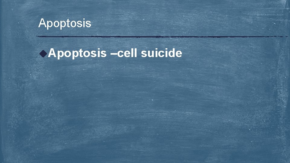 Apoptosis u. Apoptosis –cell suicide 