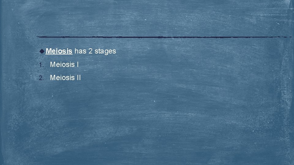 u Meiosis has 2 stages 1. Meiosis I 2. Meiosis II 