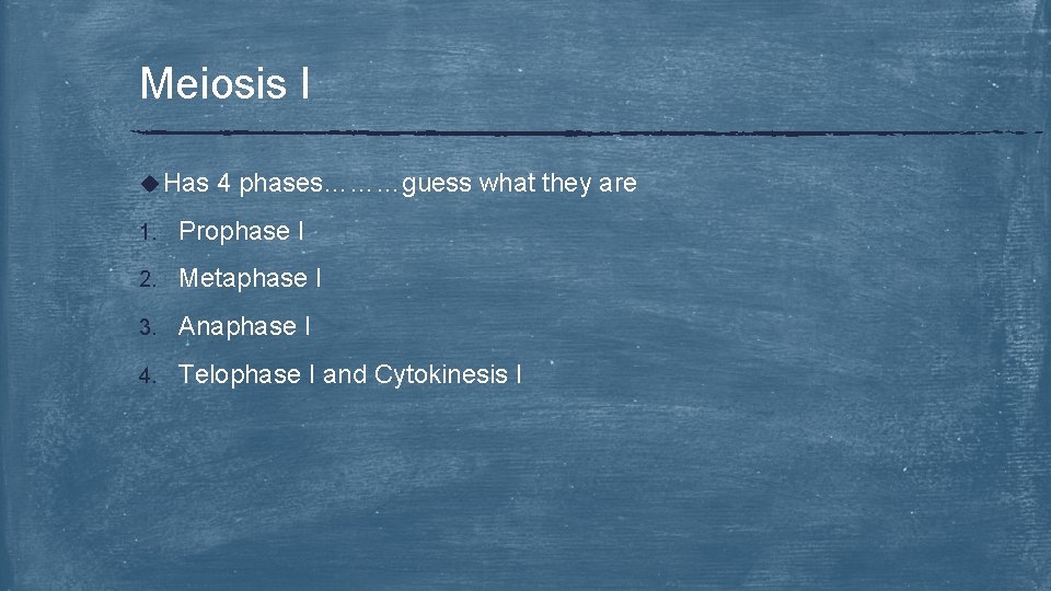 Meiosis I u Has 4 phases………guess what they are 1. Prophase I 2. Metaphase