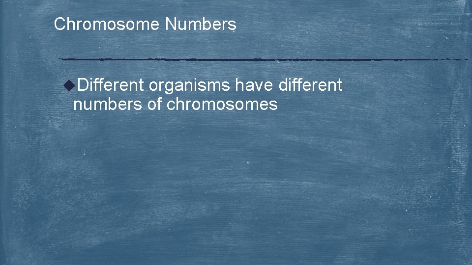 Chromosome Numbers u. Different organisms have different numbers of chromosomes 