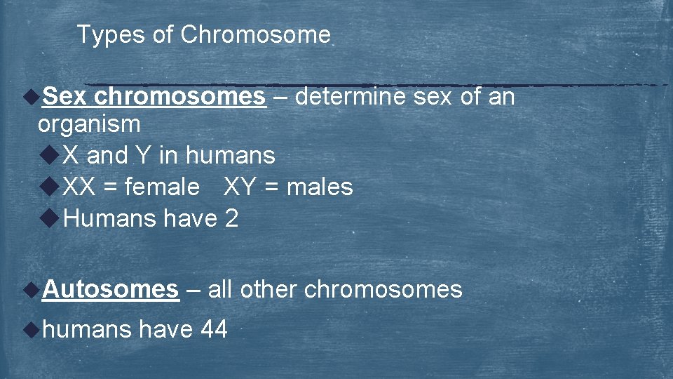 Types of Chromosome u. Sex chromosomes – determine sex of an organism u. X