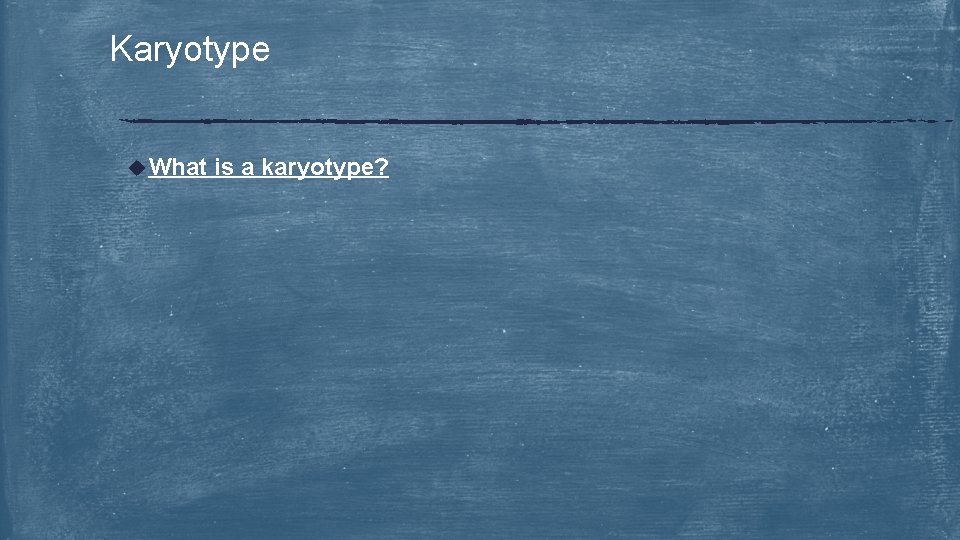 Karyotype u What is a karyotype? 