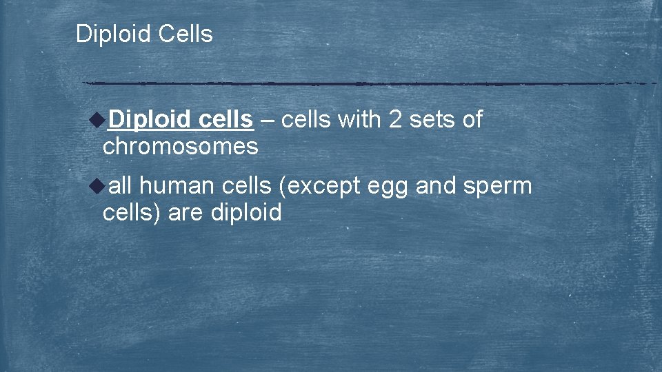 Diploid Cells u. Diploid cells – cells with 2 sets of chromosomes uall human