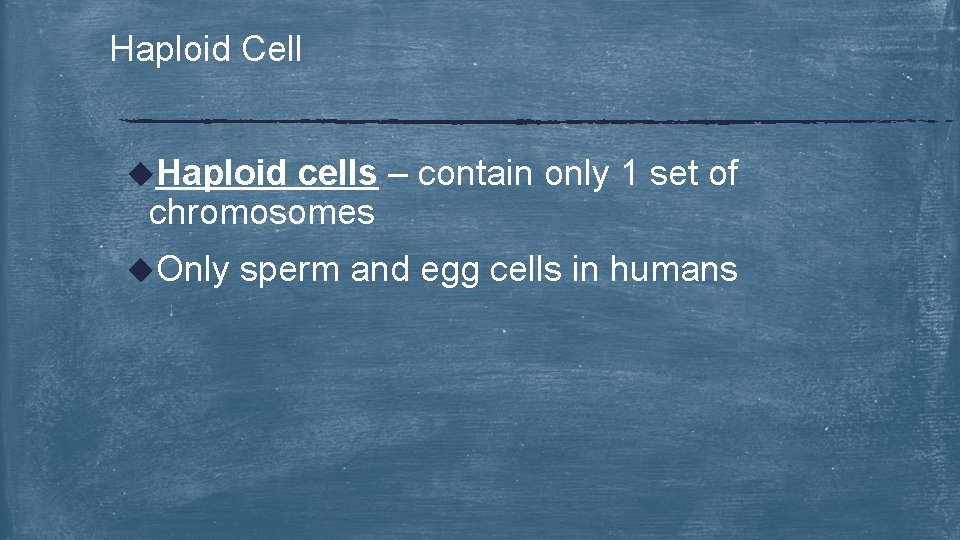 Haploid Cell u. Haploid cells – contain only 1 set of chromosomes u. Only