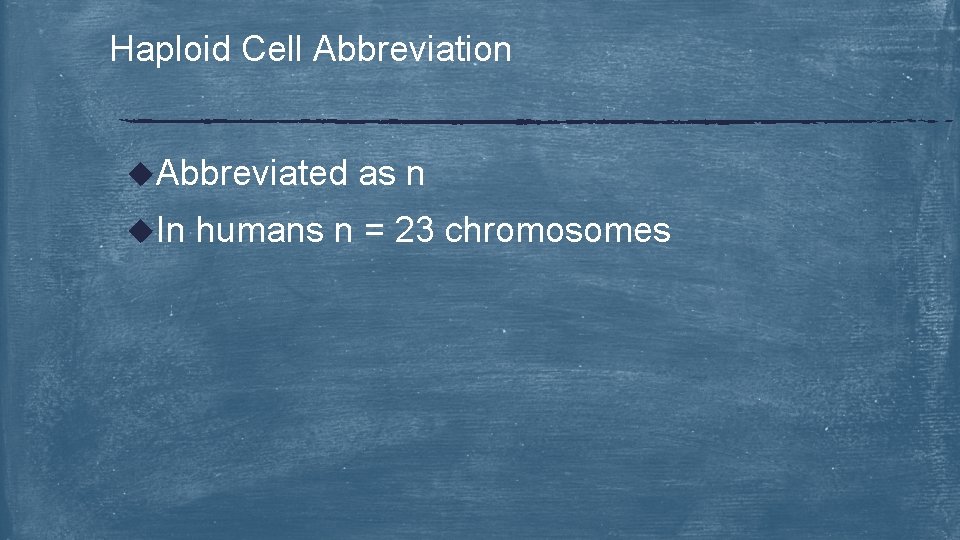 Haploid Cell Abbreviation u. Abbreviated u. In as n humans n = 23 chromosomes