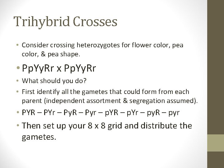 Trihybrid Crosses • Consider crossing heterozygotes for flower color, pea color, & pea shape.