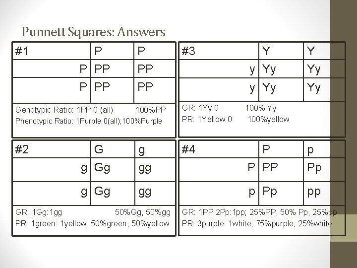 Punnett Squares: Answers #1 P P #3 Y Y P PP PP y Yy