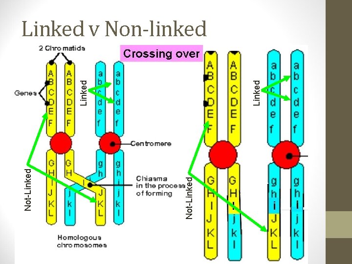 Not-Linked Linked v Non-linked 