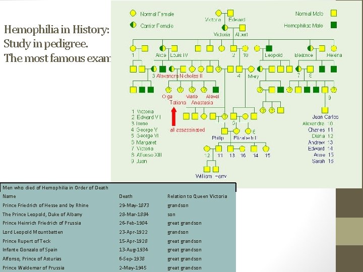 Hemophilia in History: Study in pedigree. The most famous example. Men who died of