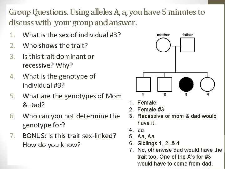 Group Questions. Using alleles A, a, you have 5 minutes to discuss with your