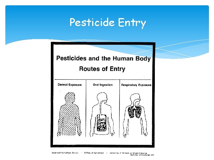 Pesticide Entry Pesticide Entry