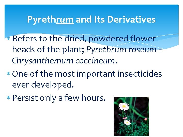 Pyrethrum and Its Derivatives Refers to the dried, powdered flower heads of the plant;