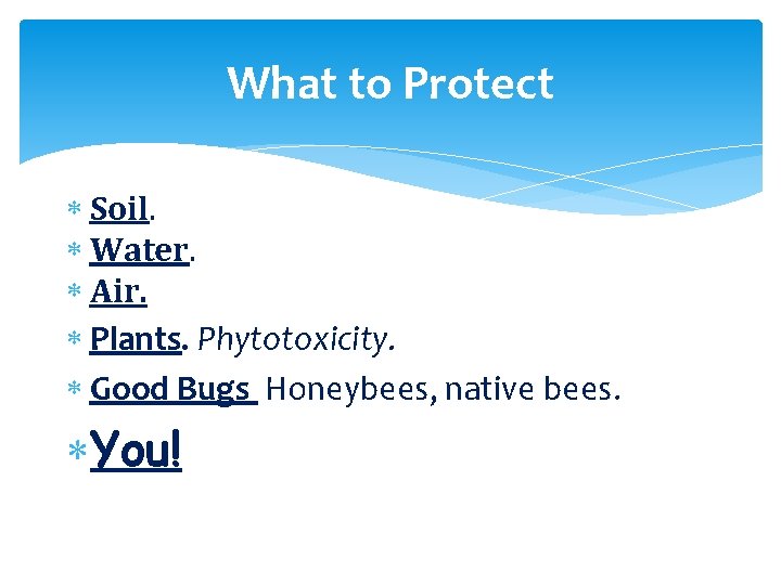 What to Protect Soil. Water. Air. Plants. Phytotoxicity. Good Bugs Honeybees, native bees. You!