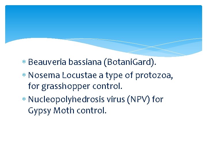 Beauveria bassiana (Botani. Gard). Nosema Locustae a type of protozoa, for grasshopper control. Beauveria bassiana (Botani. Gard). Nosema Locustae a type of protozoa, for grasshopper control.