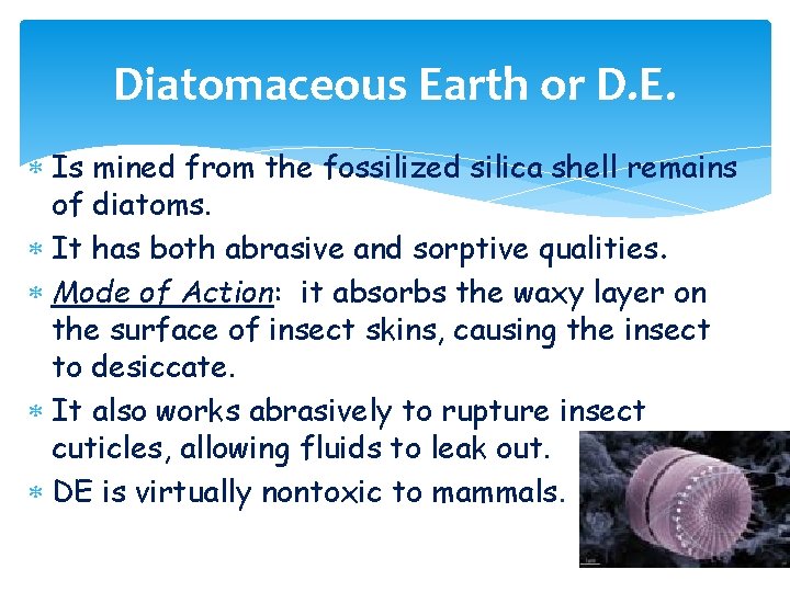 Diatomaceous Earth or D. E. Is mined from the fossilized silica shell remains of