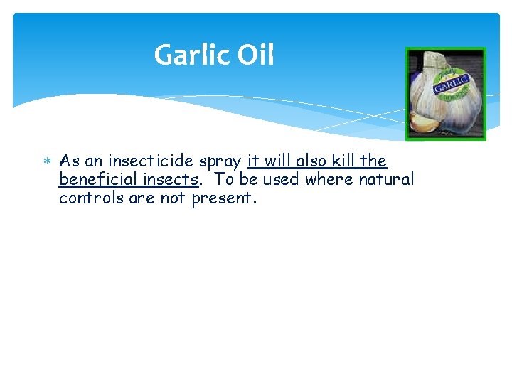 Garlic Oil As an insecticide spray it will also kill the beneficial insects. To