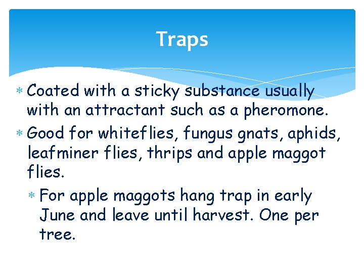 Traps Coated with a sticky substance usually with an attractant such as a pheromone.